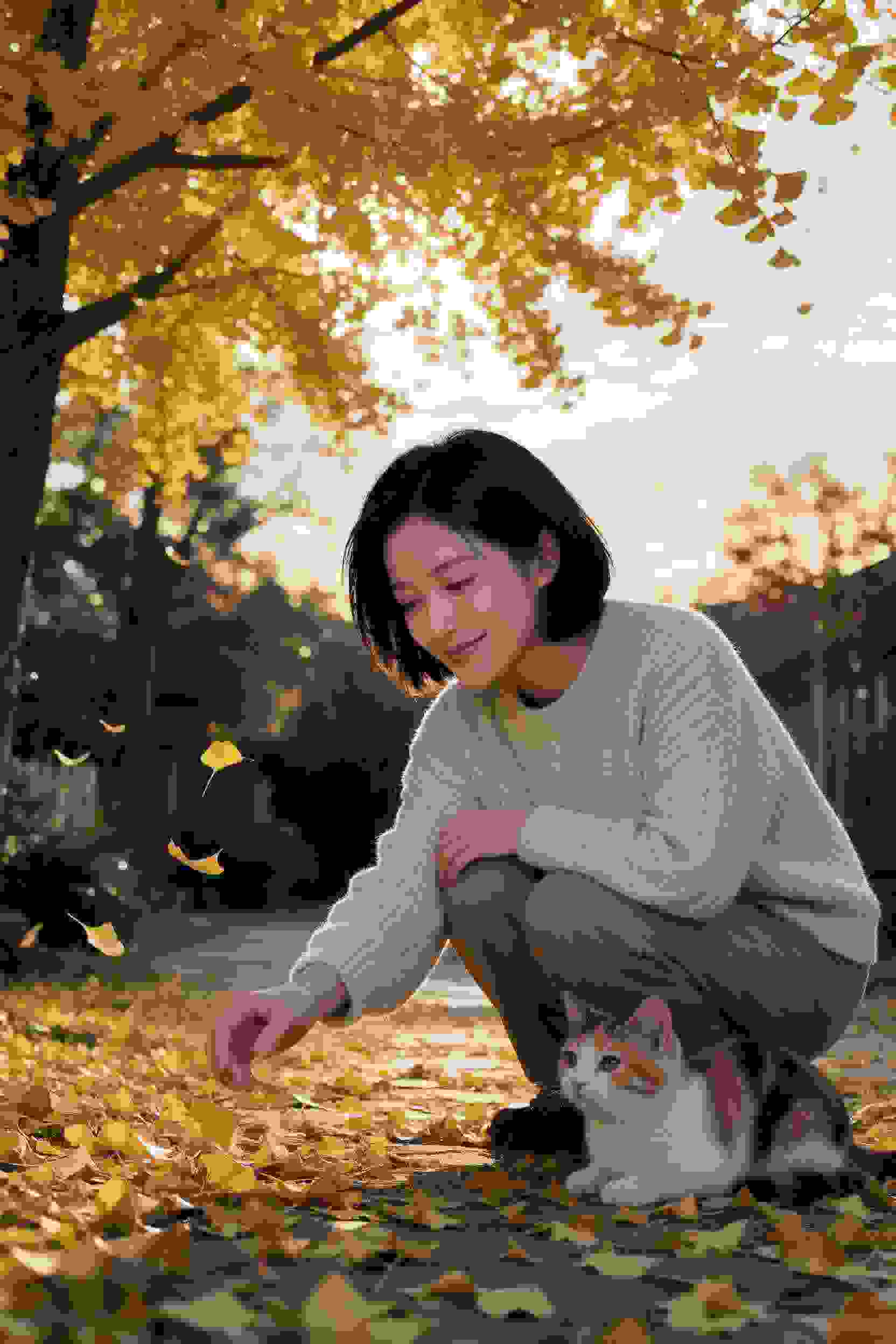 他的城市她的梦